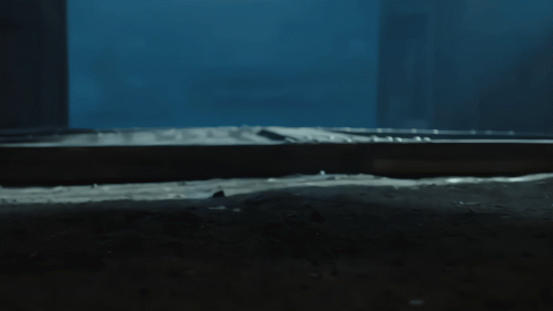 003a.gif
