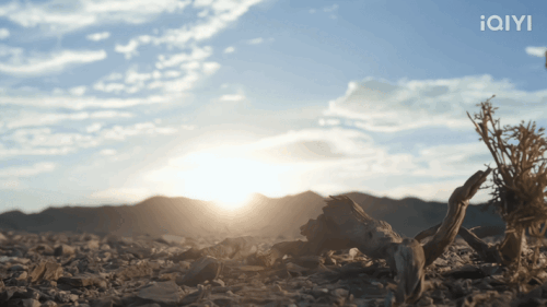 00657da3374bae1de08.gif