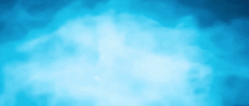 0134a979e92625f8808.gif