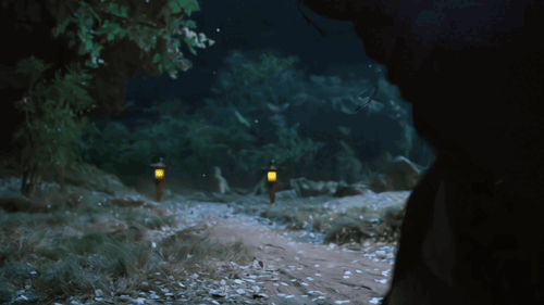 019b.gif