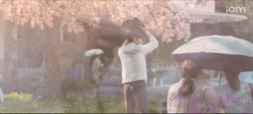 047.gif