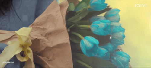 049.gif