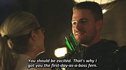 13---first-day-as-a-boss-fern.gif