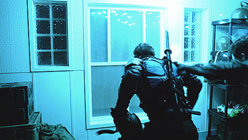 13---through-a-window.gif