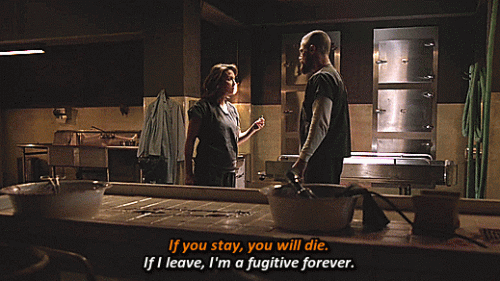 36---fugitive-forever.gif