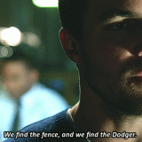 42---we-find-the-dodger