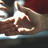 64---olicity-handshake