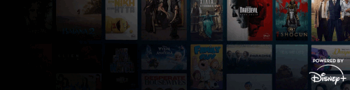 Disney_1940x500-desktop.gif