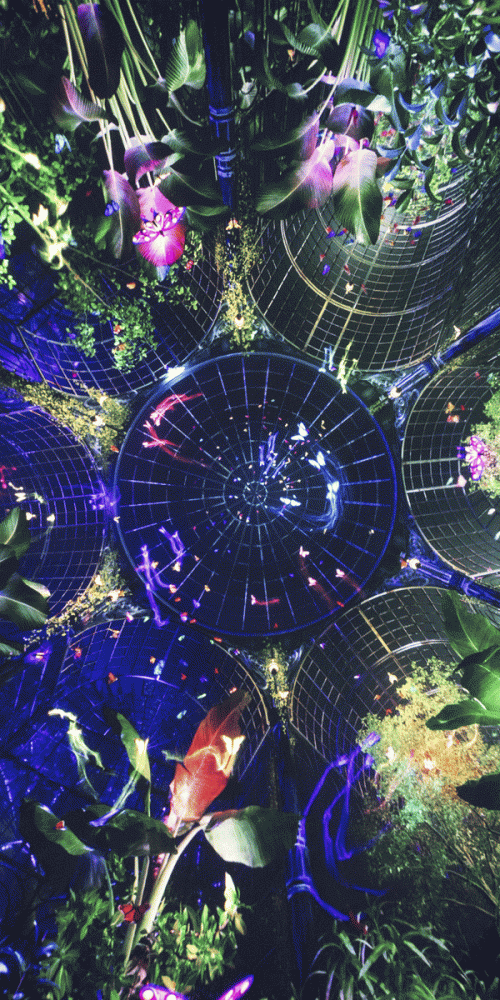 HP-MODULE_300x600_big.gif