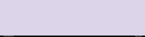 MONKEY47_xl_desktop.gif