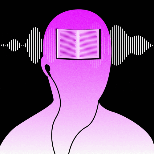 audio.gif