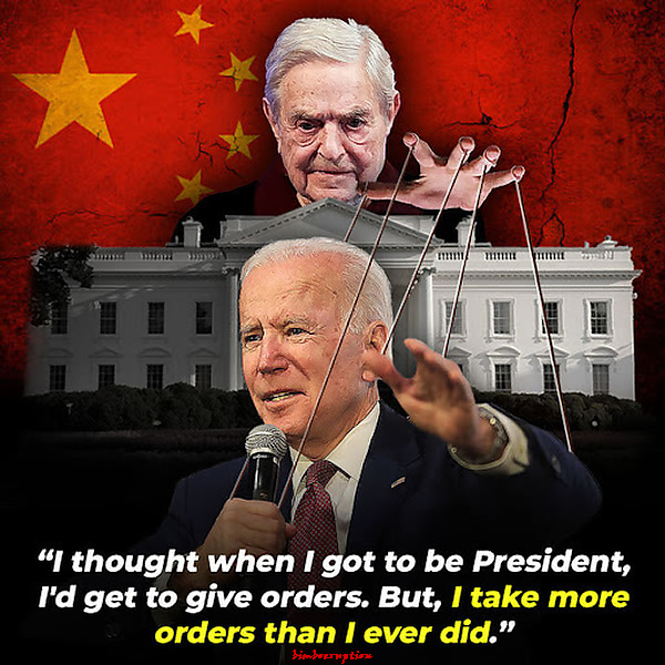 bidensorospuppet.jpg