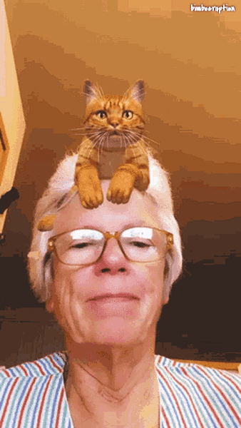 catlady2name.gif
