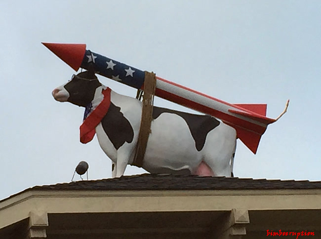 cowonroofwithrocketd345ff555cab0fae.jpg