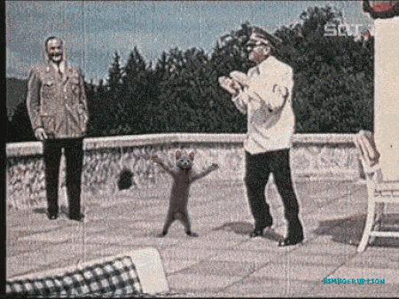 hitlerdancingwithcatgif94ff9f4ae6c2f386.gif