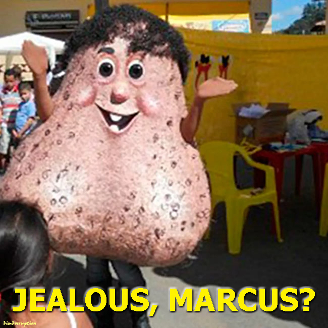 marcusballs