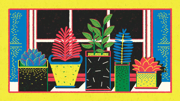 plants.gif