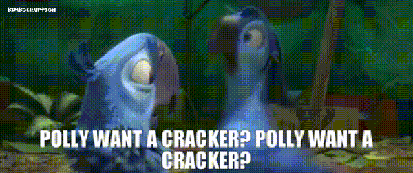 pollycrackernamegif