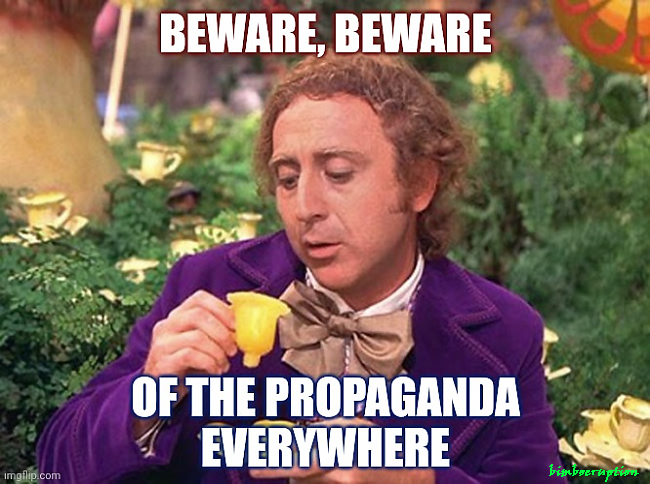 propagandawonkae1856925d1872394.jpg