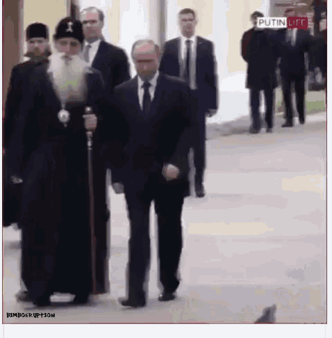 putinpidgeonnamegif