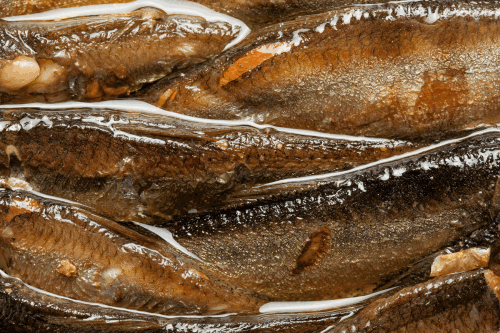 seafood.gif
