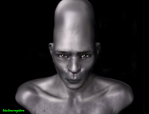 silohead.jpg
