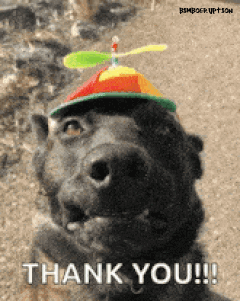thankyou.gif