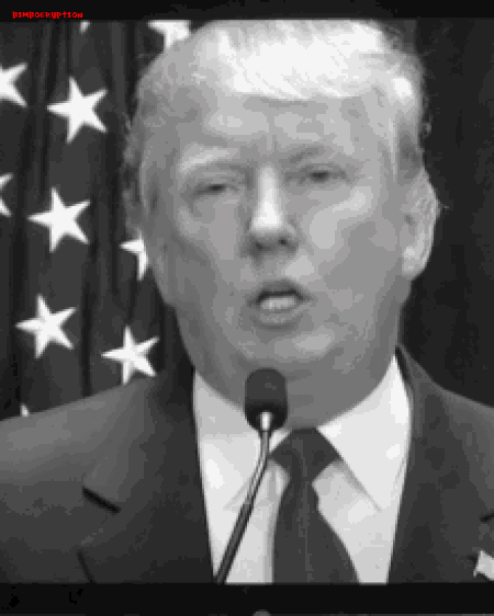 trumpbiglie