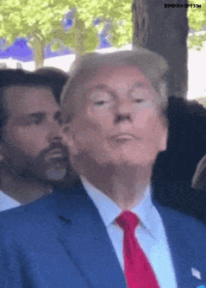 trumpnoddingheadyes