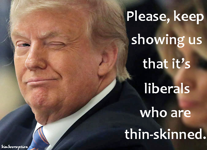 trumpthinskintext