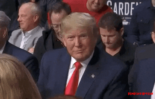 trumpthumbsupgif