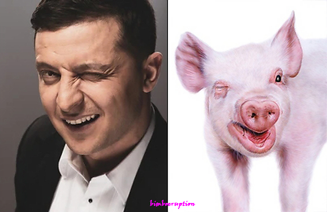 zelenskyandpigwinking