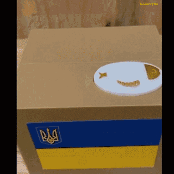 zelenskygrabscash